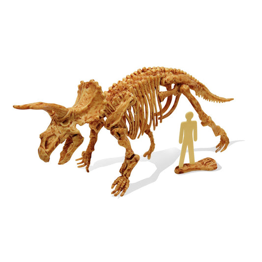 Dino Kit Tricératops