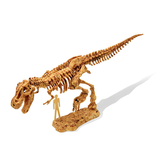 Dino Kit T-Rex