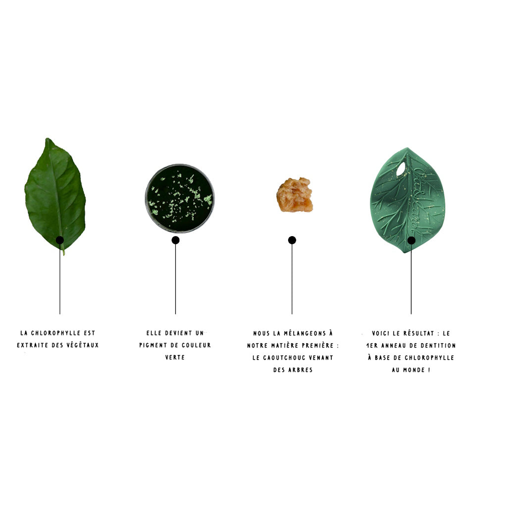 Jouet de Dentition Feuille de Chlorophylle Oli&Carol