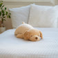 Peluche SORA Chien Golden Retriever Grande