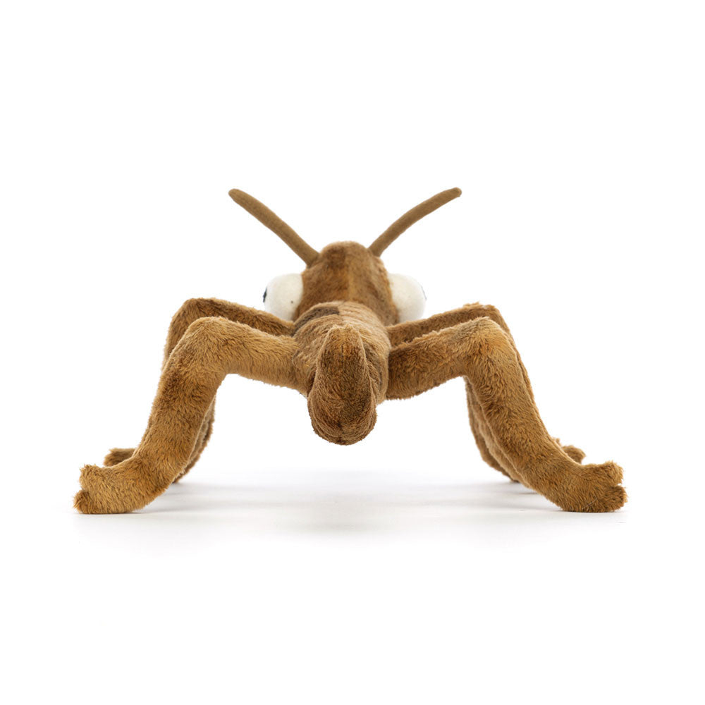 Peluche Stanley Stick Insect le PhasmeJellycat