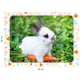 Puzzle 45 pièces Petit lapin et sa Carotte