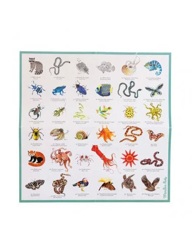 Mémory des animaux Tout autour du monde